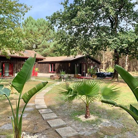 Hacienda De La Canopee Avec Piscine Chauffee Au Sel Hourtin Exterior photo