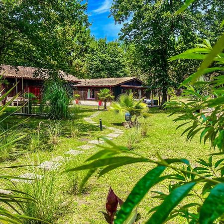 Hacienda De La Canopee Avec Piscine Chauffee Au Sel Hourtin Exterior photo