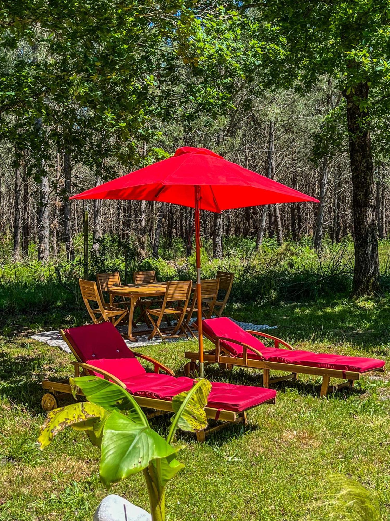 Hacienda De La Canopee Avec Piscine Chauffee Au Sel Hourtin Exterior photo